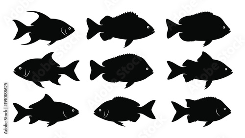 A collection of ten black silhouettes of various fish shapes and sizes. isolated on white background, Vector