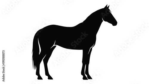 A silhouette of a horse standing on all fours with a long tail and mane isolated on white background, Vector