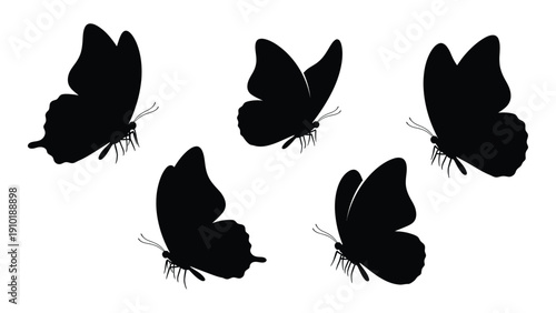 Five black butterfly silhouettes in a circular arrangement on a white background. isolated on white background, Vector