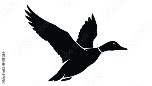 A black silhouette of a duck in mid-flight with wings spread wide. isolated on white background, Vector
