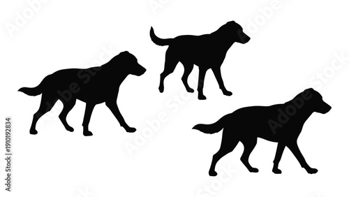 Three black dog silhouettes walking in a line against a white background isolated on white background, Vector