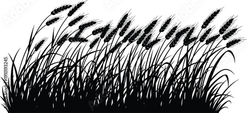 Black and white silhouette illustration of a wheat field with long grass and ears of grain swaying in the wind isolated on white background.