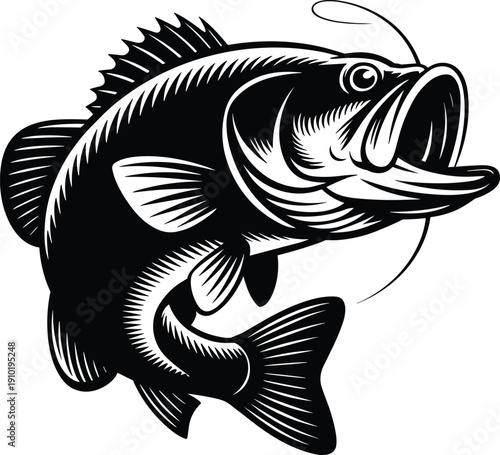 Large mouth bass jumping out of water with open mouth fish black and white