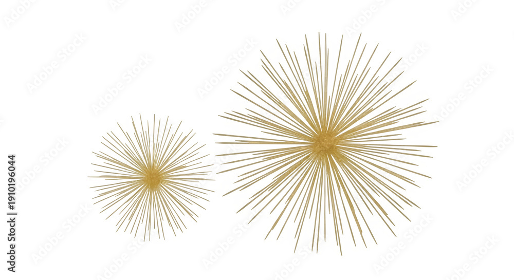 Obraz premium Golden Fireworks Bursts Two Radiating Starbursts.