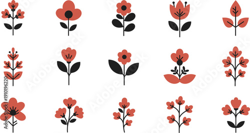Collection of various red and pink flowers on white background