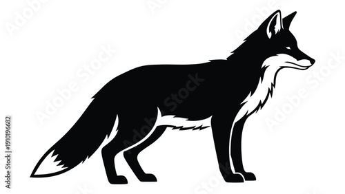 A black and white illustration of a fox standing on all fours. isolated on white background, Vector
