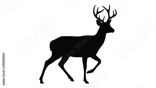 A majestic deer with large antlers standing in a natural setting. isolated on white background, Vector