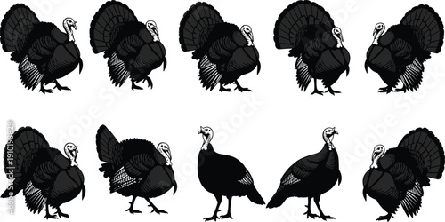 Detailed black turkey silhouette collection set featuring various poses for Thanksgiving dinner autumn farm poultry and wild bird hunting designs