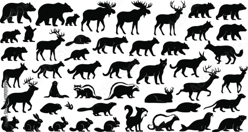 Large collection of forest animal silhouettes including bear, deer, wolf, fox and rabbit isolated on white background, detailed wildlife vector illustration set