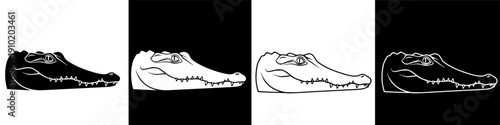 Illustration of an alligator head, a dangerous predator in its natural habitat