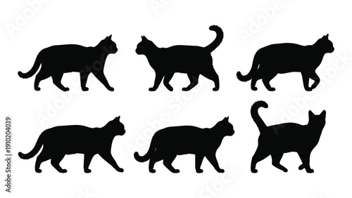 Six black cat silhouettes in various walking and sitting poses. isolated on white background, Vector