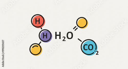 Molecular structure of carbonic acid with chemical formula h2co3 illustrating hydrogen carbon and oxygen atoms