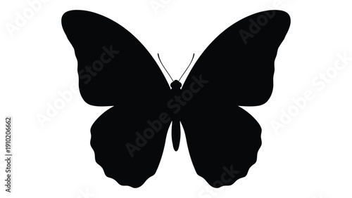A striking black butterfly with intricate wing patterns and delicate antennae. isolated on white background, Vector