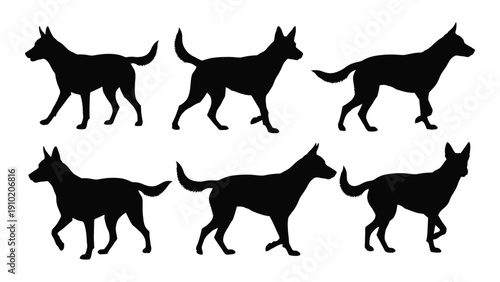 A collection of six black silhouettes of dogs in various poses and positions. isolated on white background, Vector
