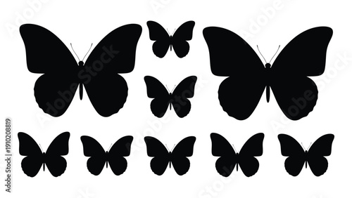 A collection of various butterfly silhouettes in black and white isolated on white background, Vector