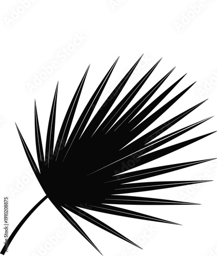 Black silhouette of a single palm frond with sharp, pointed leaves against a white background, abstract tropical
