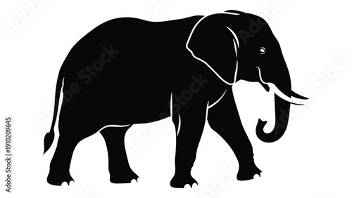 A detailed black and white silhouette of an elephant standing majestically isolated on white background, Vector
