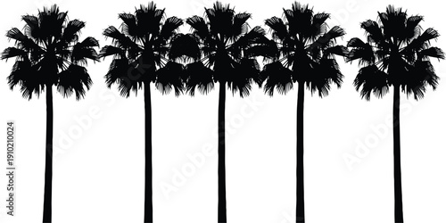 Silhouette of five tall palm trees lined up against a white background, representing a tropical or coastal scene