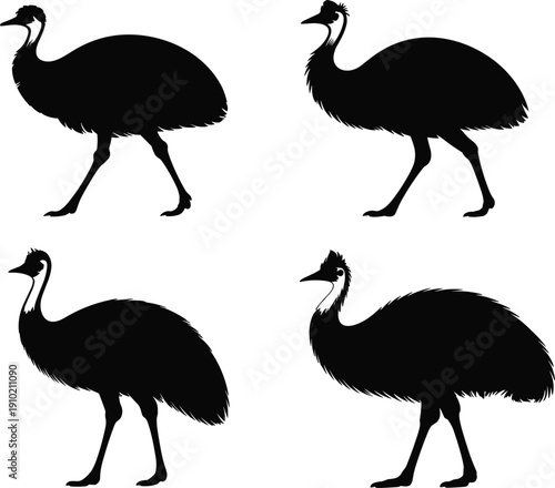 Cassowary bird silhouettes collection isolated on white background, exotic tropical wildlife illustration set, walking large flightless bird vector design for nature, zoology, and education