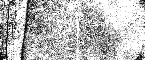 High contrast grunge vector texture of distressed leather background or overlay Black and white vintage abstract surface pattern