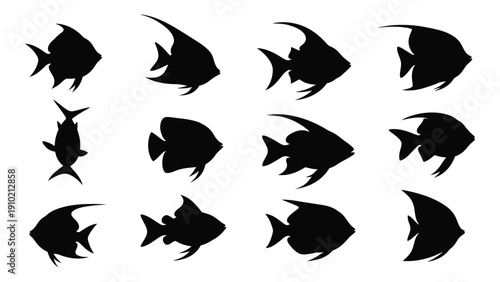 A collection of various fish silhouettes in different orientations and styles. isolated on white background, Vector