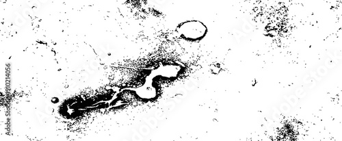 Abstract Black and White Grunge Texture Ink Splatter Distressed Overlay Vector Background