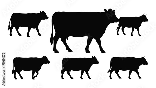 Silhouettes of cows and bulls walking in a line on a white background isolated on white background, Vector