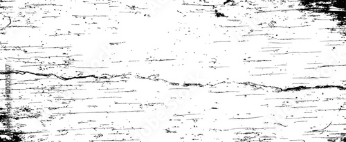 Black and White Distressed Birch Bark Grunge Overlay Texture with Crack