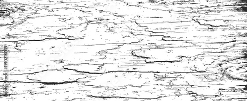 Black and white distressed wood grain texture vector grunge overlay background