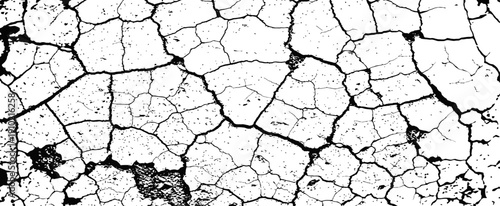 Black and white vector cracked texture grunge overlay distressed background