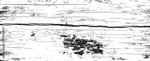 Black and White Grunge Vector Texture of Birch Bark or Distressed Wood Grain Overlay