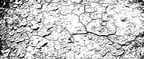Black and white cracked grunge overlay vector texture Distressed dry earth or peeling paint surface background graphic element
