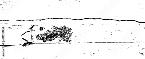 Black and white vector grunge texture overlay with cracked distressed weathered wood plank effect