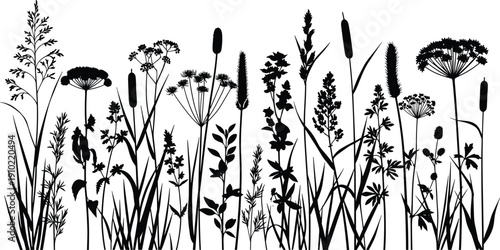 Wild Meadow Grass and Flower Silhouette Vector Border Featuring Reeds, Wildflowers and Botanical Plants in Black Nature Illustration Isolated on White Background