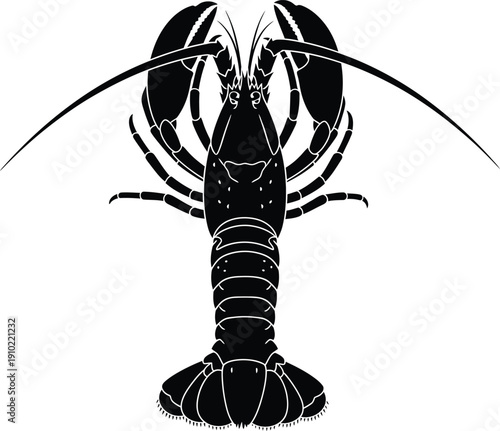 Lobster and crayfish on black background