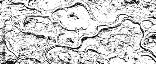 Black and white abstract grunge texture Detailed vector illustration of liquid flow or corroded surface pattern background
