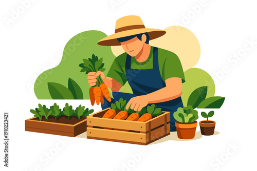 Farmer harvesting fresh carrots in a garden setting.