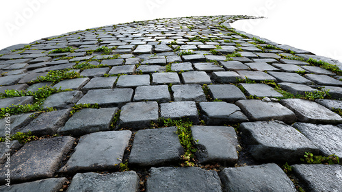 Close-up of Cobblestone Path with Greenery walkway