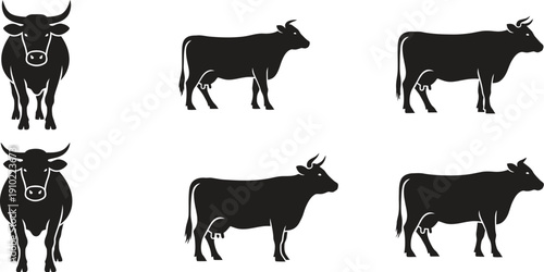 Set of black cow silhouettes in various poses and views