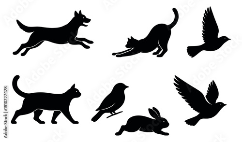 Graphic animal set featuring dogs, cats, birds, and a rabbit for pet and nature designs