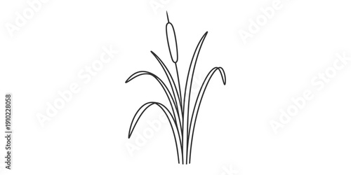 A simple black and white line drawing of a cattail plant with long leaves and a single flower spike.