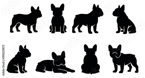 Graphic French bulldog set featuring various poses of the dog breed for pet related designs and illustrations