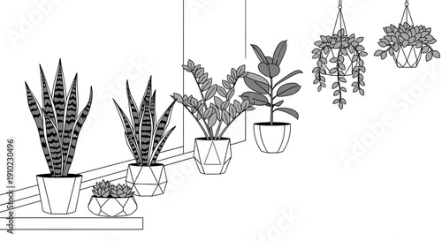 Collection of indoor houseplants in geometric pots illustration.