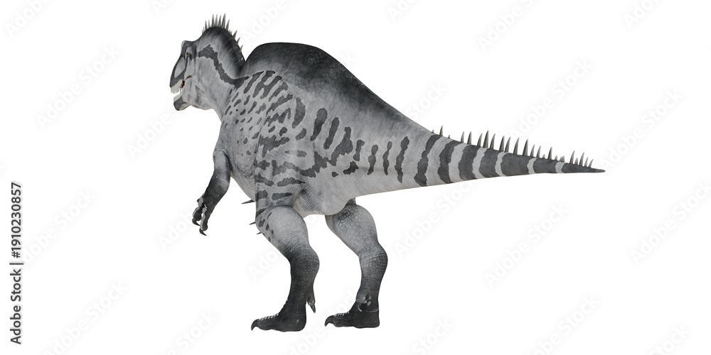 Fototapeta premium Illustrative side view of a ceratosaurus dinosaur