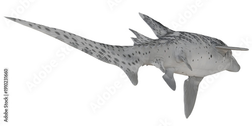Cuadro en lienzo Spotted catshark swimming gracefully underwater.