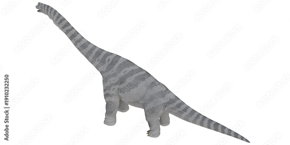 Obraz premium Realistic Apatosaurus dinosaur illustration