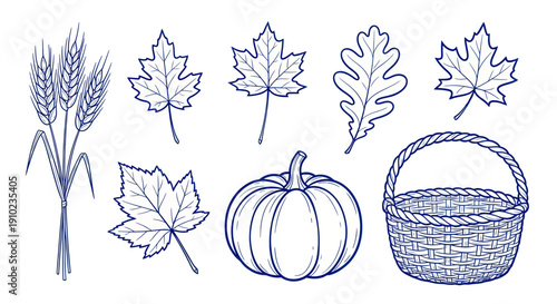 Hand drawn autumn harvest elements set with pumpkin leaves and wheat.