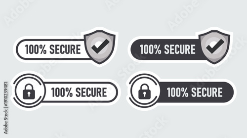 100% secure badge with padlock, shield, and check mark icon. For logo, circle label, seal, symbol, buttons, sign, badge, stamp, sticker, emblem, banner. Vector Image
