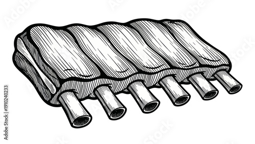 Raw Pork Ribs Illustration.