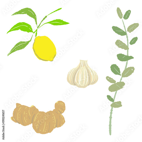 Winter Immunity Support Set with Eucalyptus Ginger and Lemon